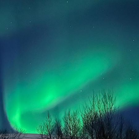 Tromsdalen Aurora Apartments Tromsø Zewnętrze zdjęcie